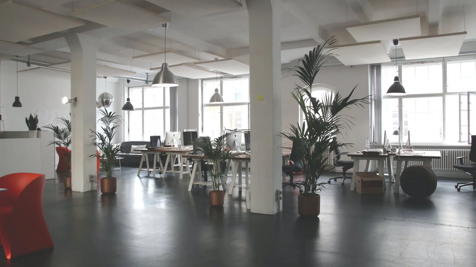 Why Biophilia Workplace is trending in 2022